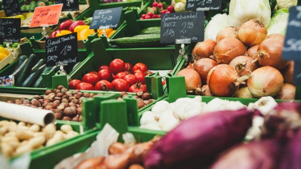 assorted fruits and vegetables
